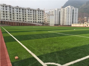 云南省文山壯族苗族自治州富寧第一中學 4000多平方