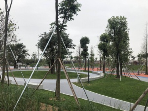 廣外足球場(chǎng)地